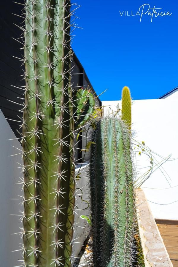 Villa Patricia Corralejo Zewnętrze zdjęcie